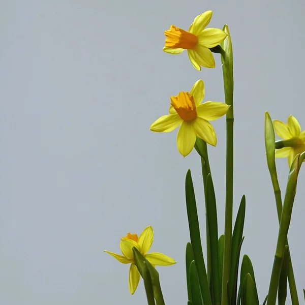 赌博网站棋牌游戏